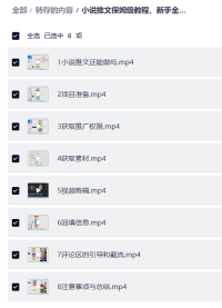 小说推文保姆级教程，新手全流程入门到变现实战指南