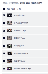 赏颜阁-剪辑、变现全套教学